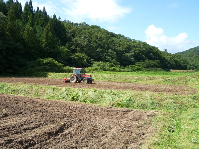 あいみ富有の里地区活動その8