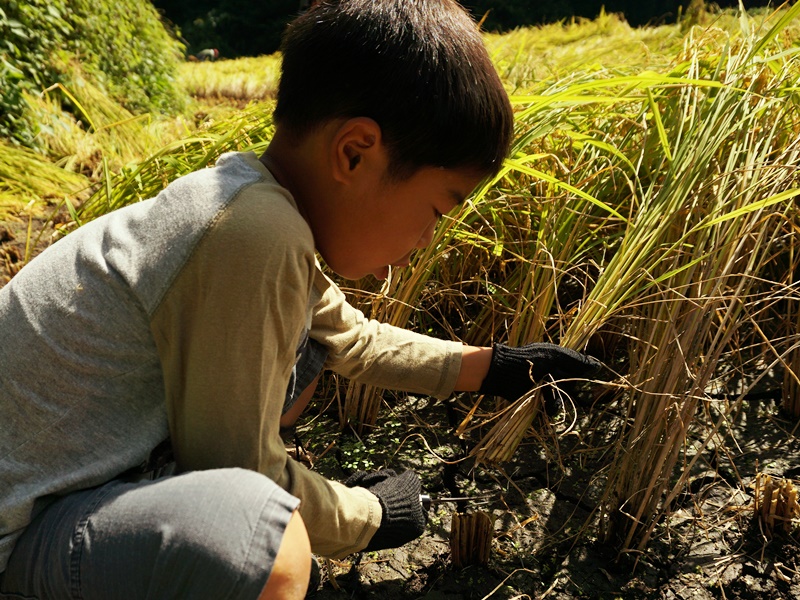 河本地区の活動その1