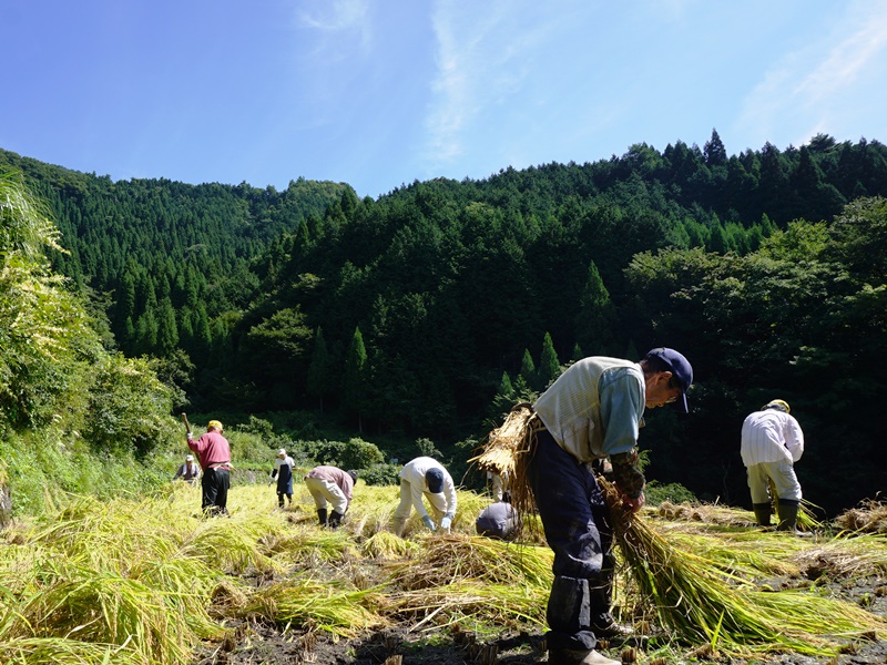 河本地区の活動その3