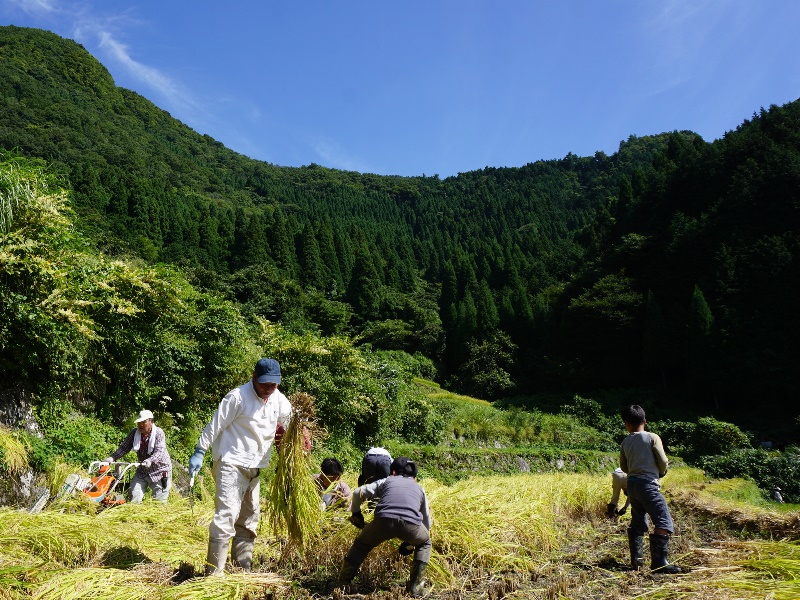 河本地区の活動その4