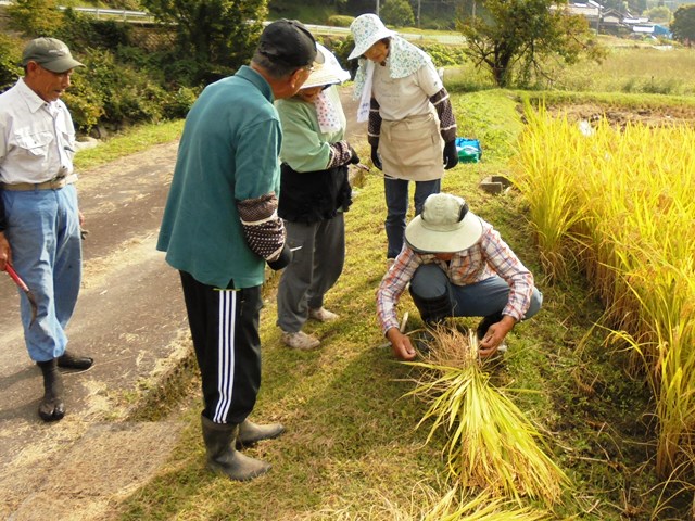 縛り方の指導