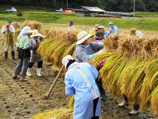 はでかけ作業