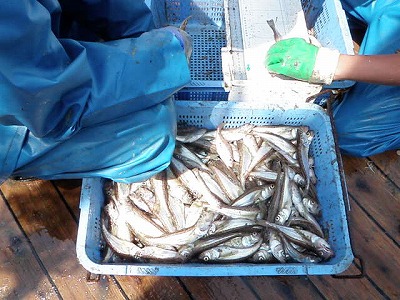 並行操業