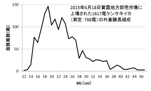 外套膜長組成