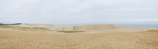 「馬の背」の風景－雨上がりの砂丘