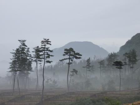 松林