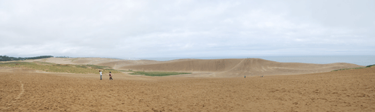 「馬の背」の風景－ゼブラ模様がみえます