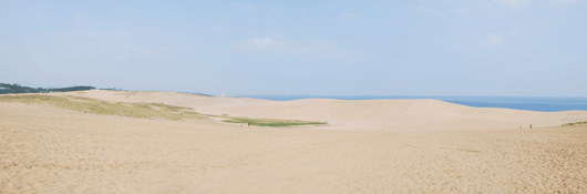 「馬の背」の風景－あしあとが残っています