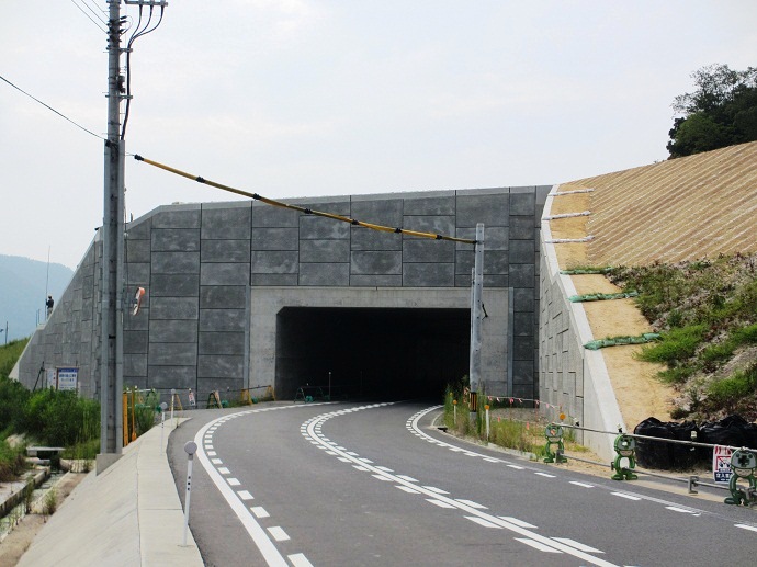  補強土擁壁工施工状況（新井側より）の写真