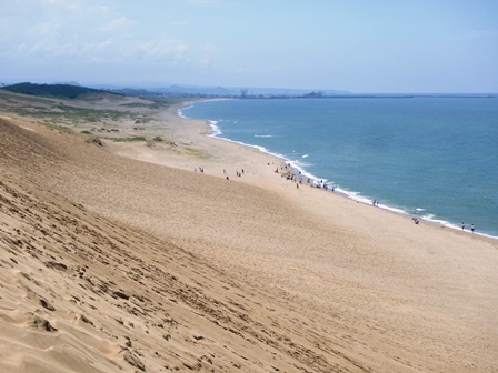 海