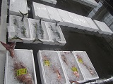 釣り