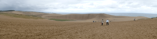 「馬の背」の風景－オアシスができています