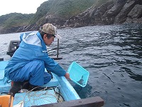 キジハタ放流