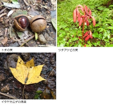 9月中旬の実