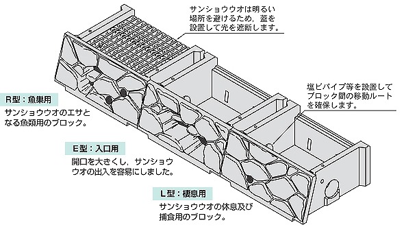 オオサンショウウオブロック