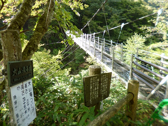 リニューアル後の大山滝吊橋