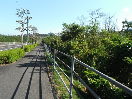 県道