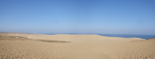 「馬の背」の風景－砂はしっとり